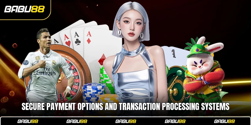 Secure payment options and transaction processing systems